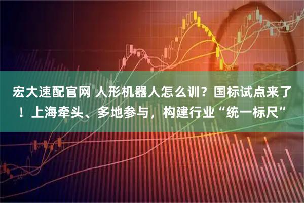 宏大速配官网 人形机器人怎么训？国标试点来了！上海牵头、多地参与，构建行业“统一标尺”