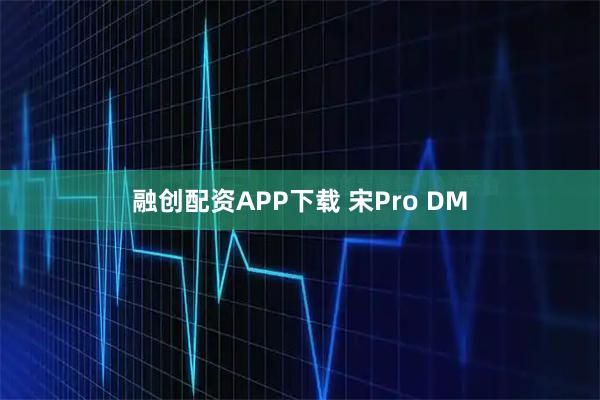 融创配资APP下载 宋Pro DM